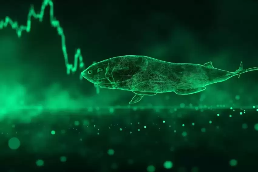 比特币反弹至6.3万美元：美联储加息概率升至70%后买盘涌现，谁在抄底？
