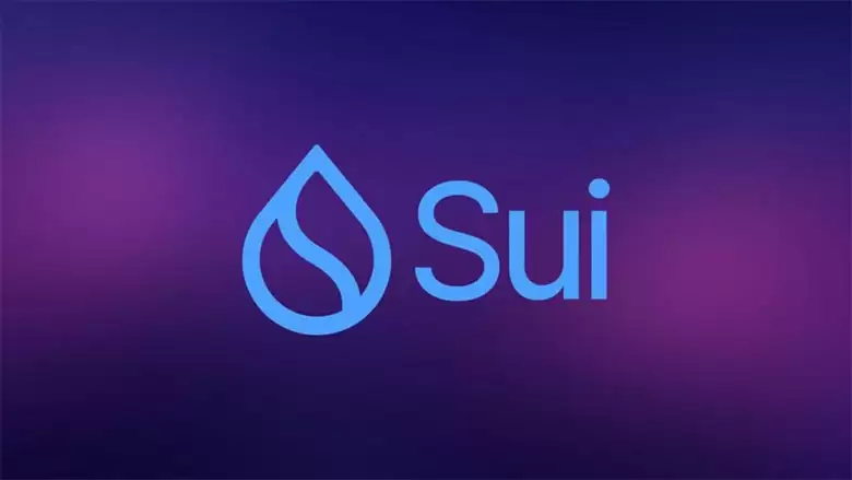 破局黑天鹅,SUI 为何仍具长期增长强劲潜力?一文分析