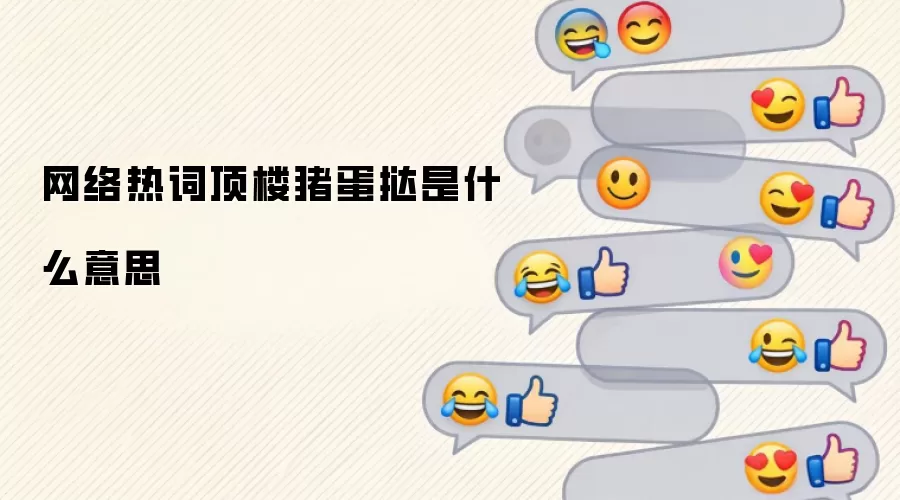 网络热词顶楼猪蛋挞是什么意思