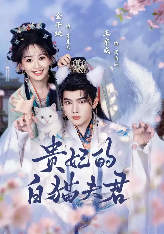 短剧《贵妃的白猫夫君》剧情介绍