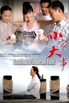 电视剧《小家大事》剧情介绍