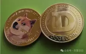 dood币能涨到1美元吗