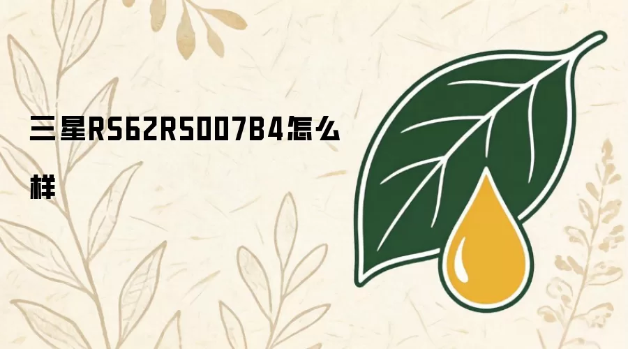 三星RS62R5007B4怎么样