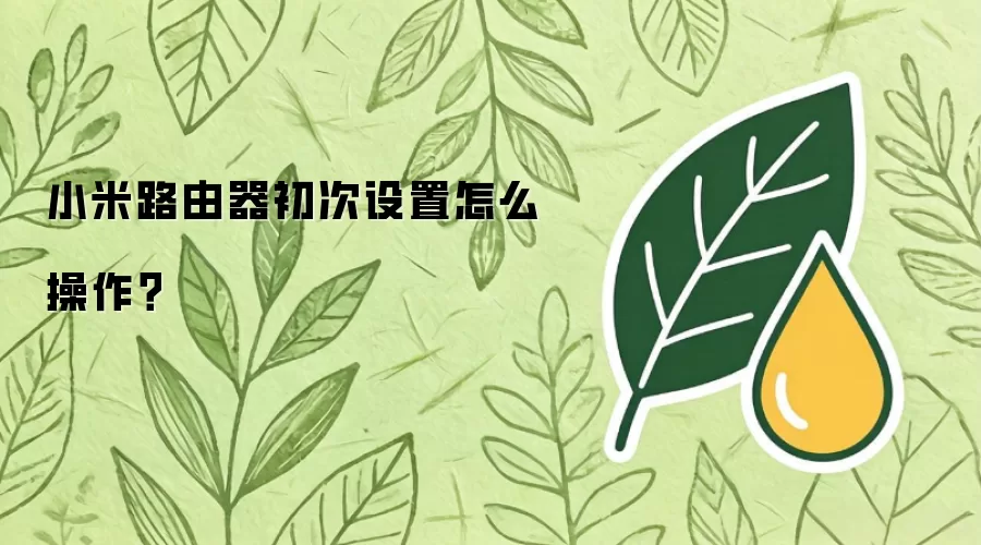 小米路由器初次设置怎么操作？