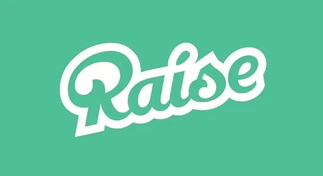 Raise是什么项目？Raise融资、发展历程、盛业模式解读