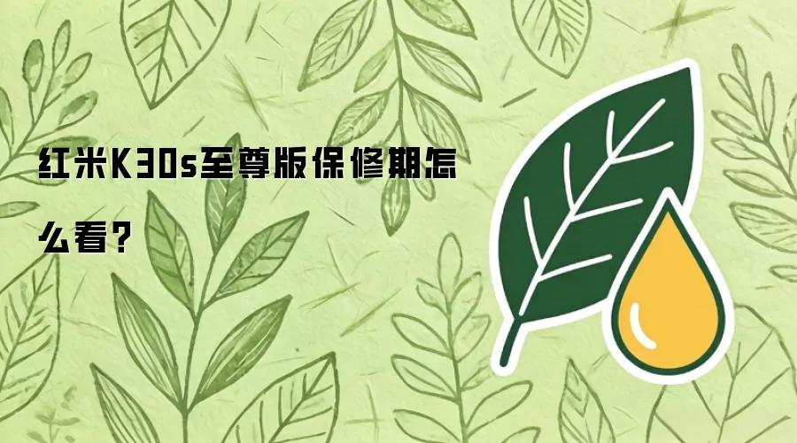 红米K30s至尊版保修期怎么看？