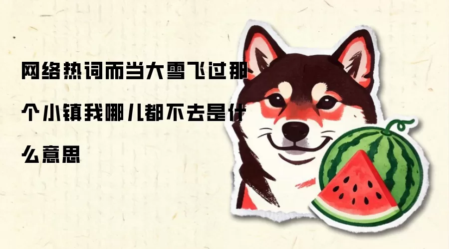 网络热词而当大雪飞过那个小镇我哪儿都不去是什么意思
