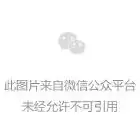 GNN的设计流程
