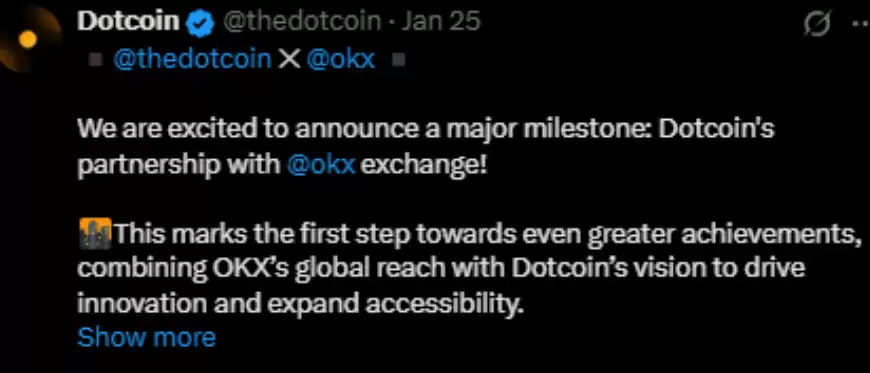 Dotcoin 上市日期更新:$DOT 会在币安和 OKX 上市吗？
