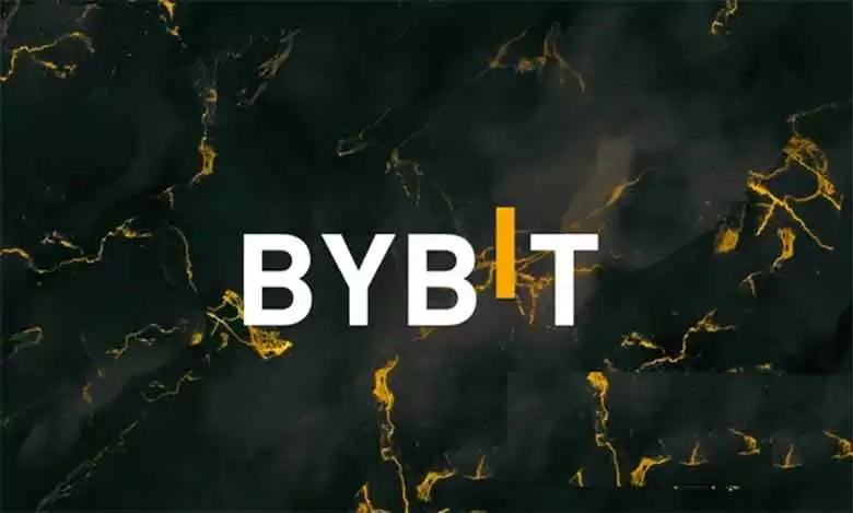 bybit交易所的wallet有哪些？bybit交易所wallet详解