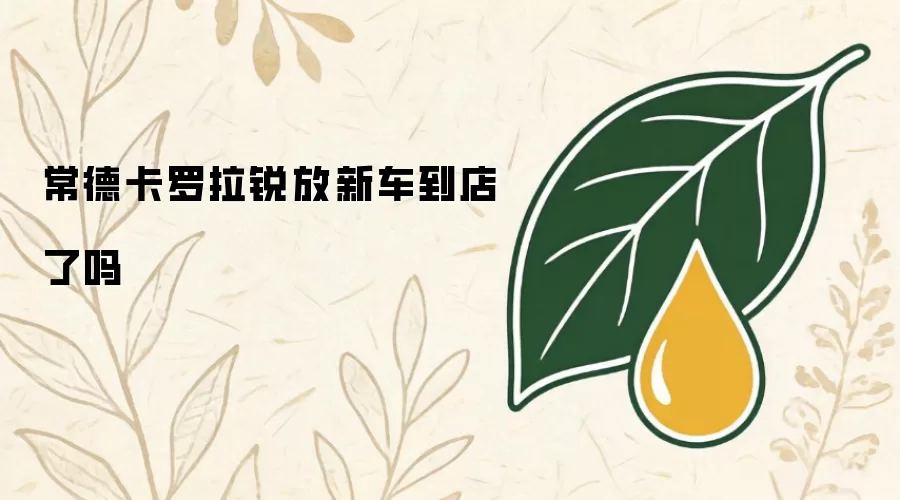 常德卡罗拉锐放新车到店了吗