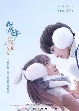 电视剧《侬好，我的东北女友》剧情介绍