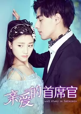 电影《亲爱的首席官》剧情介绍