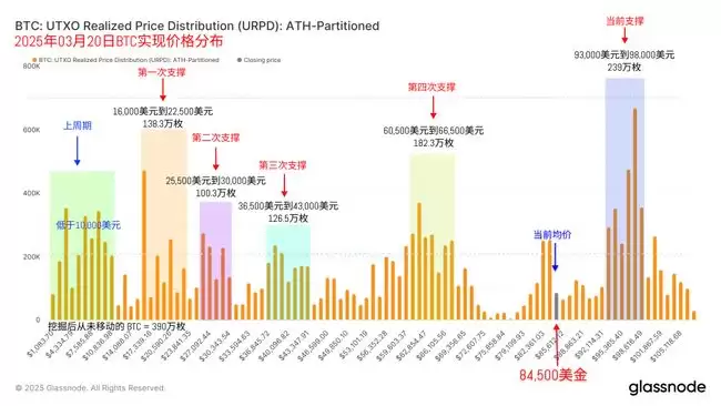 近期有哪些1000倍回报的潜力币吗？2025十大潜力币盘点