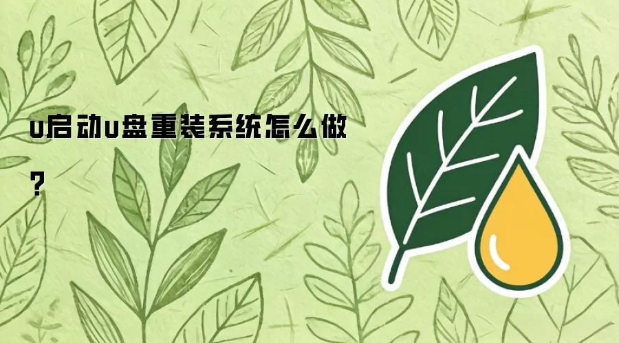 u启动u盘重装系统怎么做？