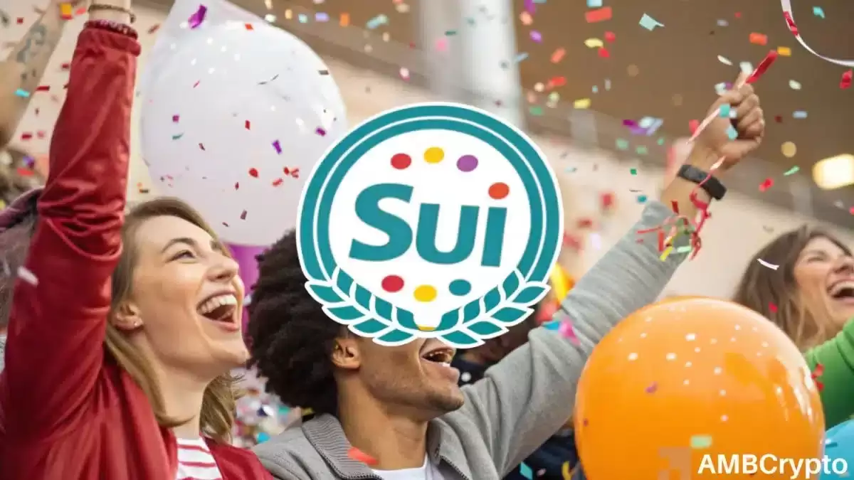 SUI 这波热度还能持续多久？