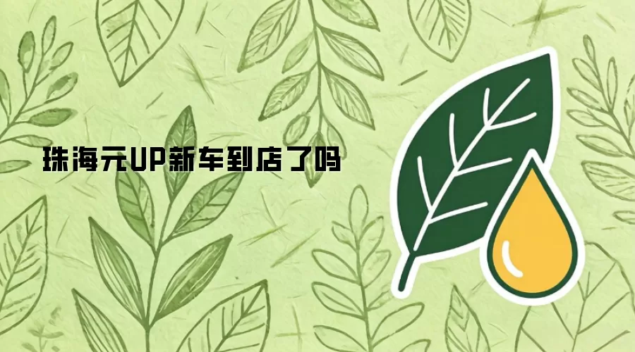 珠海元UP新车到店了吗