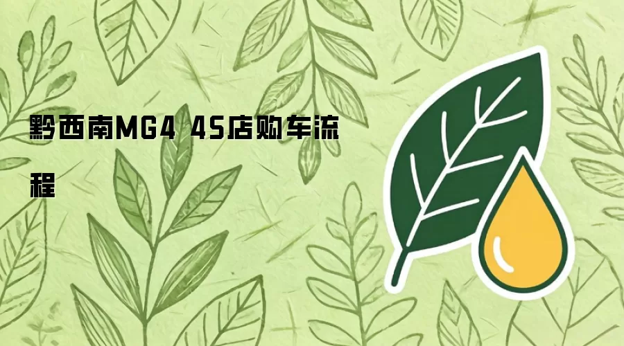 黔西南MG4 4S店购车流程