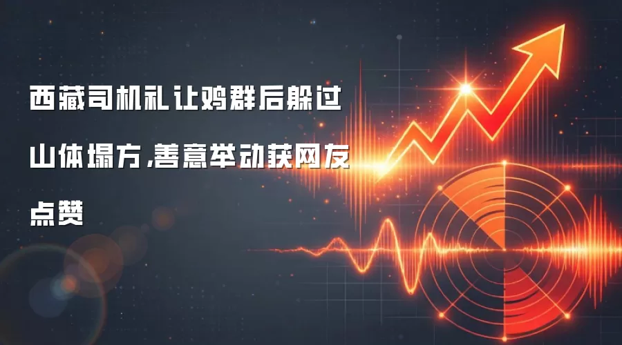 西藏司机礼让鸡群后躲过山体塌方，善意举动获网友点赞