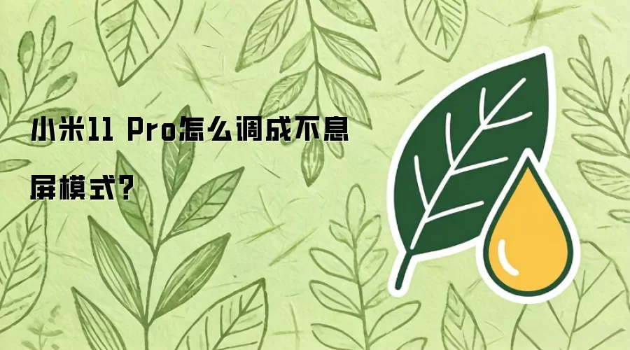 小米11 Pro怎么调成不息屏模式？