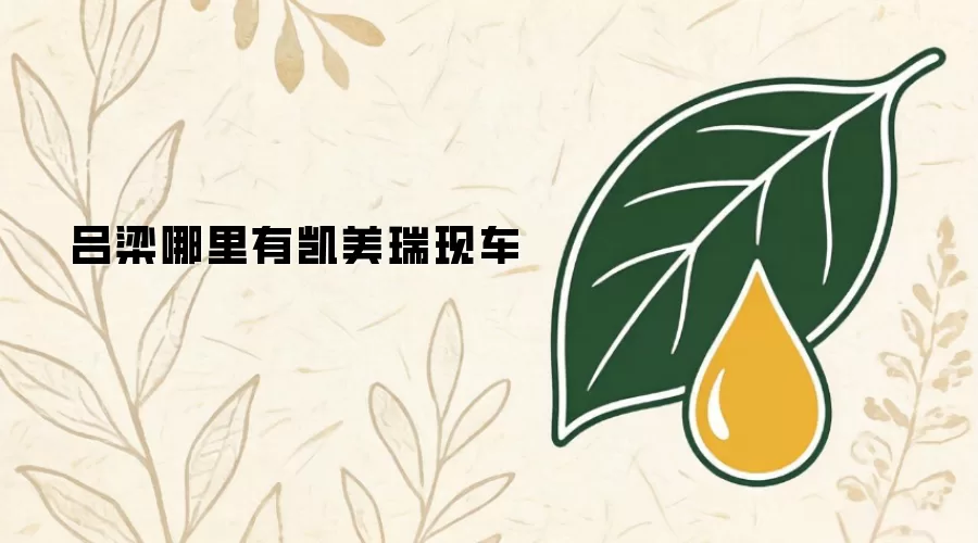 吕梁哪里有凯美瑞现车