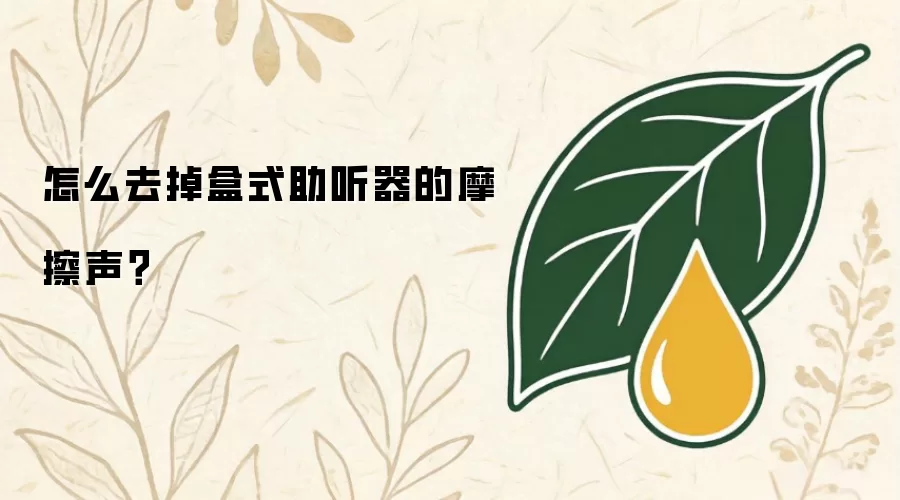 怎么去掉盒式助听器的摩擦声?