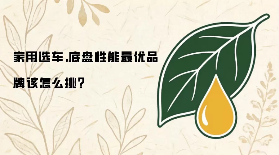 家用选车,底盘性能最优品牌该怎么挑?