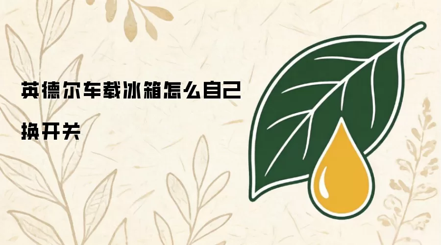 英德尔车载冰箱怎么自己换开关