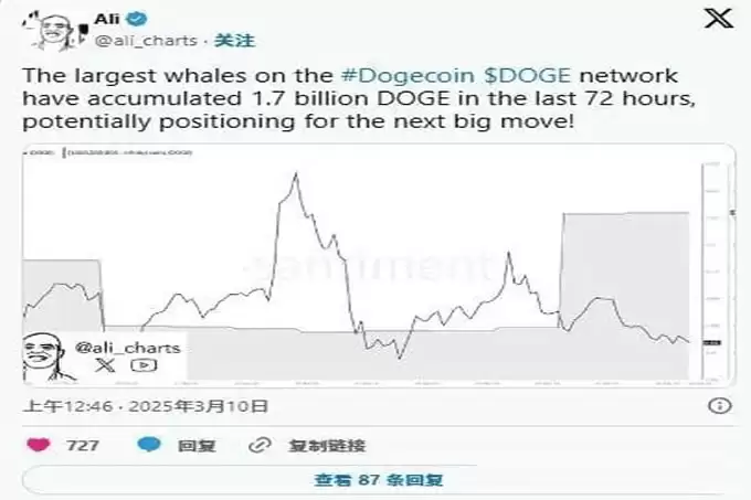 特朗 普加密储备助力狗狗币（DOGE）崛起,2025年能否创下新高？