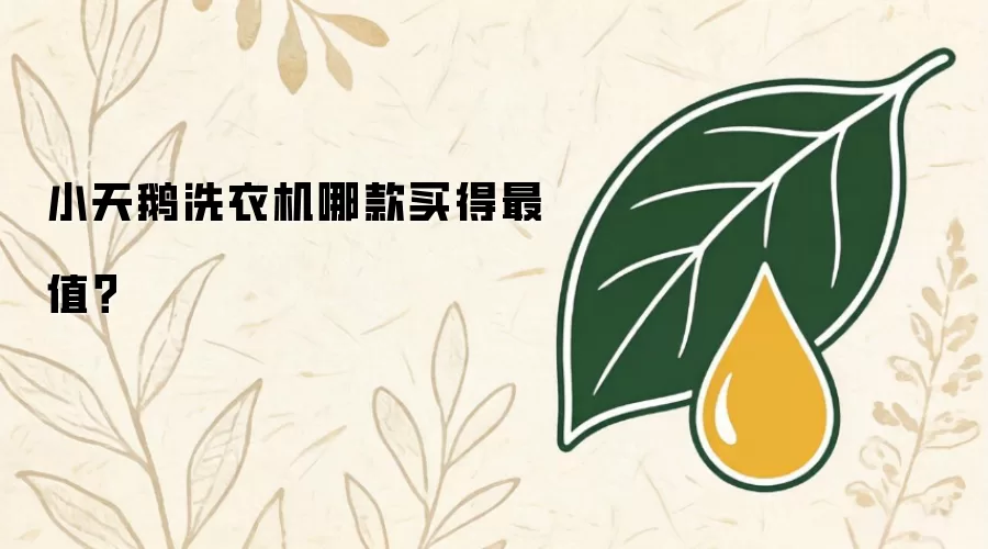 小天鹅洗衣机哪款买得最值?