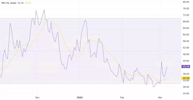 主要 RSI
