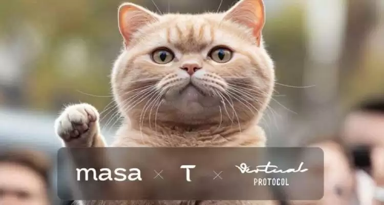 TAOCAT是什么币种?怎么样?TAOCAT币值得投资吗?