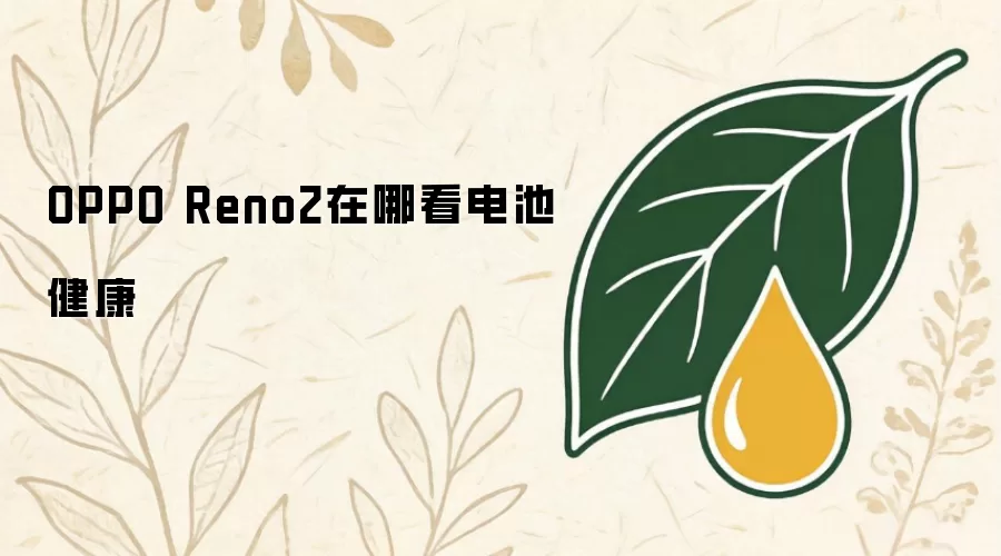 OPPO Reno2在哪看电池健康