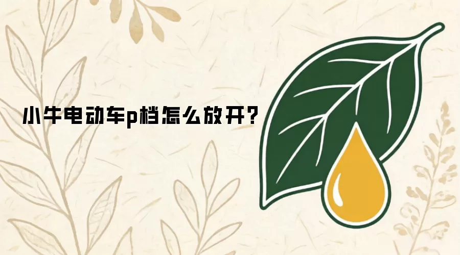 小牛电动车p档怎么放开？