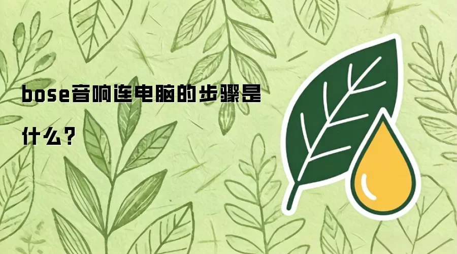 bose音响连电脑的步骤是什么？