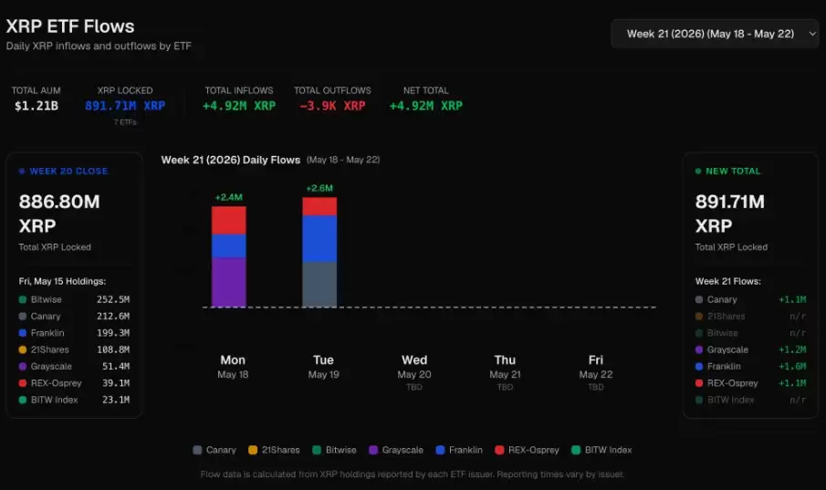 比特币ETF流出，转向XRP和Solana：投资者是否要跟随替代币轮换？