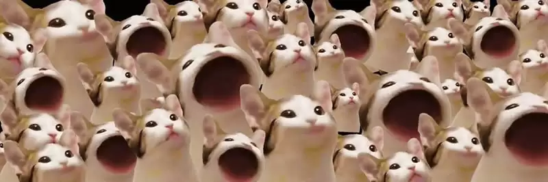 POPCAT币日内大涨超25%,POPCAT币未来前景如何？