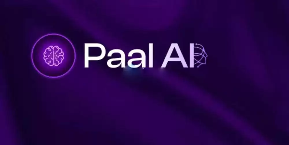 一文详解介绍PAAL币发行价和发行量各多少?