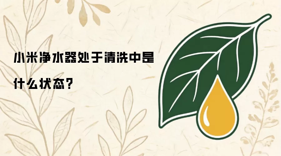 小米净水器处于清洗中是什么状态？