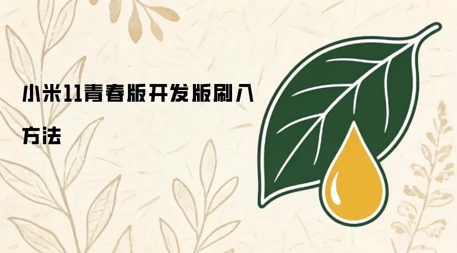 小米11青春版开发版刷入方法