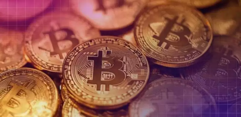 比较火的区块链项目有哪些？2025年最火的区块链项目排名