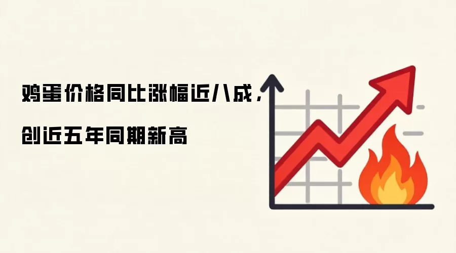 鸡蛋价格同比涨幅近八成，创近五年同期新高