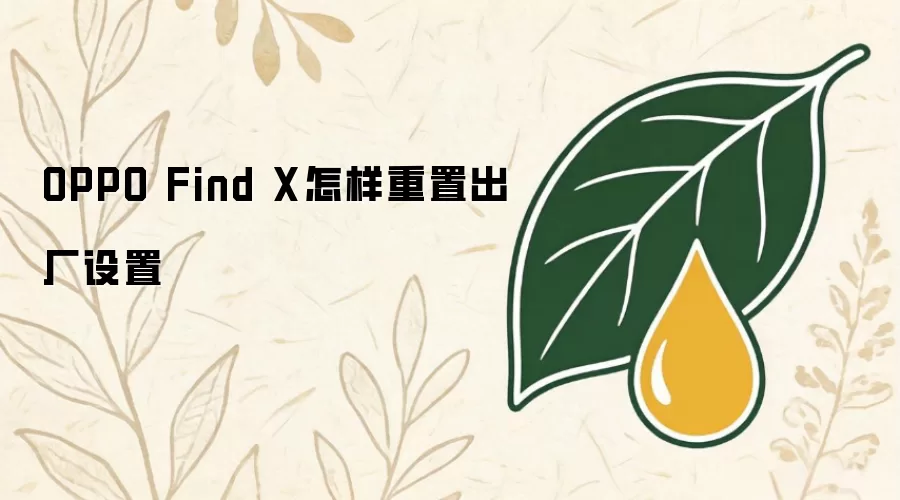 OPPO Find X怎样重置出厂设置