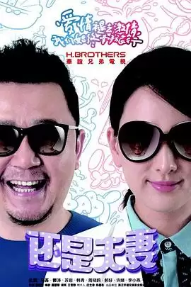电视剧《还是夫妻》剧情介绍