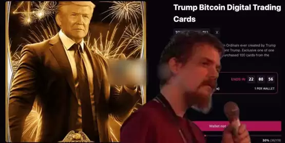川普NFT以Ordinals形式上线比特币!Luke Dashjr:美国对BTC发动国家攻击