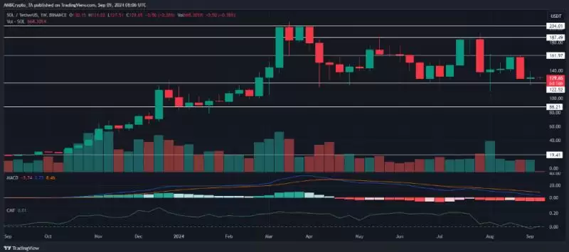 SOL技术分析图表(历史参考)