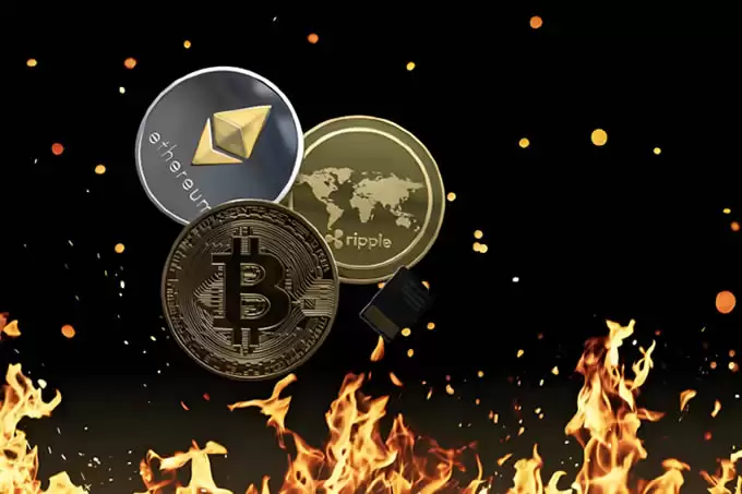 比特币、以太币和狗狗币为何大幅上涨？