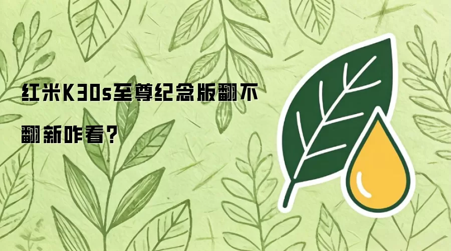 红米K30s至尊纪念版翻不翻新咋看？