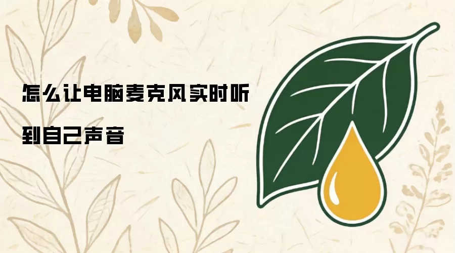 怎么让电脑麦克风实时听到自己声音