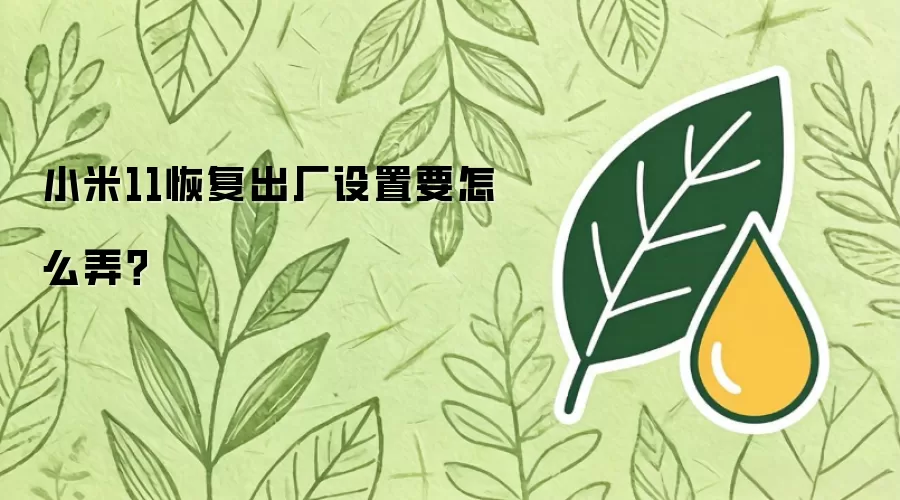 小米11恢复出厂设置要怎么弄?